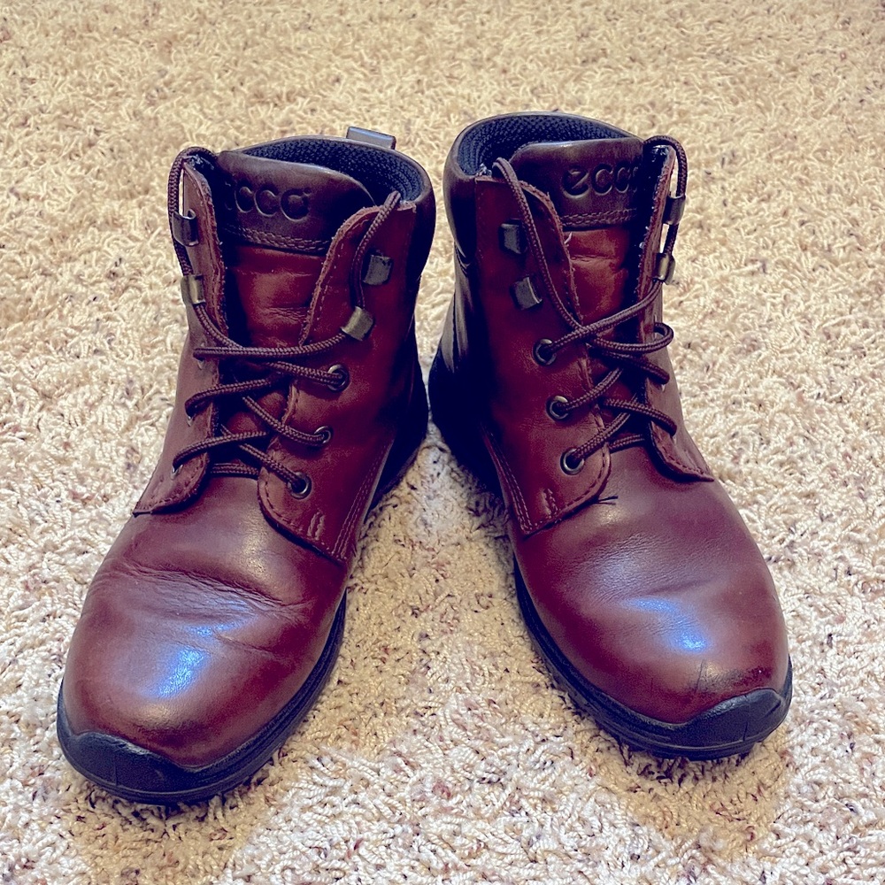 Ecco Gore-Tex Leather Hiking Boots